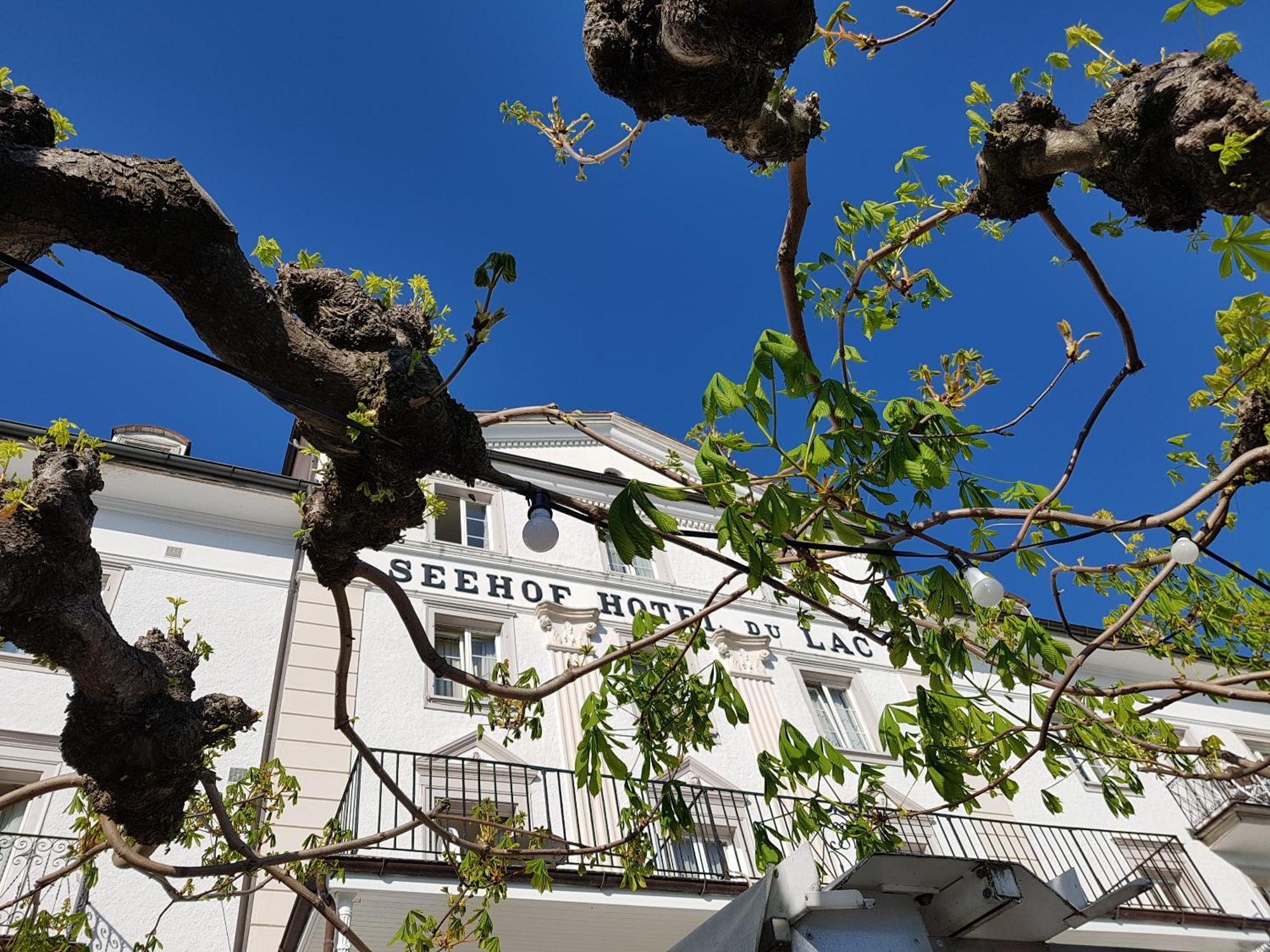 Seehof Hotel Du Lac Weggis Exterior photo